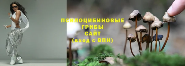 СК Инсар