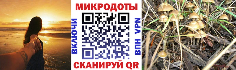 Галлюциногенные грибы MAGIC MUSHROOMS  Купить закладки  Малгобек 